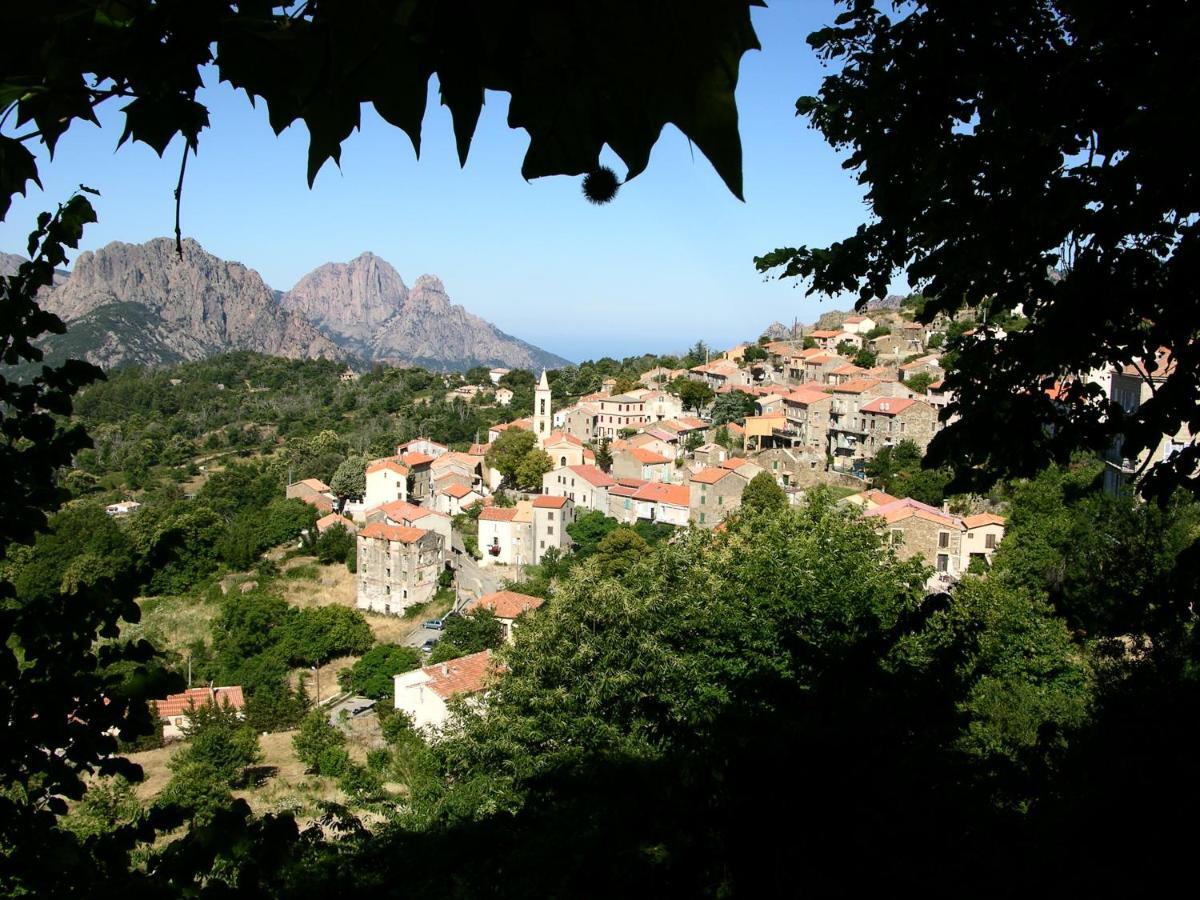 Vila Mare-Monte Evisa Exteriér fotografie